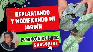 Replantando en Semana Santa 😇