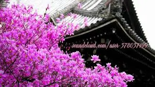 [FREE] JAPAN BEAT (PROD. CANDYGUN)
