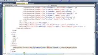 How to Use the SqlDataSource with DetailsView in Asp net