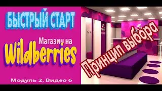 Быстрый старт с Wildberries. Таргет-Ретаргет WB | Принцип выбора