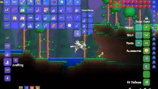 Обзор модов для Terraria №12 Flashkirby's Mounts and Stuff