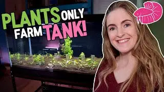 No fuss, No Fish, No CO2! New Plants-Only Farm Tank and Aquarium Co-op LED Light Test