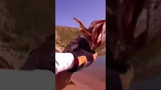 Щука рыбалка в Ленинградской области