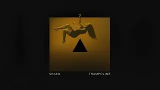 SHAED: Trampoline (Audio)