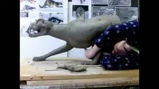Snow leopard sculpting week 3