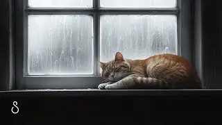Sleeping Cat Purr & Rain On Window💧Black Screen | 12 Hours | Sleep In Series