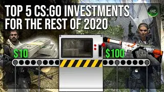 TOP 5 CS:GO INVESTMENTS FOR THE REST OF 2020 | Expensive and Cheap Investments Included!
