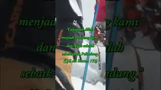 Cukuplah Allah menjadi Penolong  #shorts