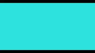 18 - 9 YOUTUBE VIDEO SIZES #youtube #videosizecompressor #size #shorts #india #doglover #love #video