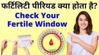 💹 Fertile Window क्या होती है? Fertile Window Kaise Check Karen? Fertile Window in Hindi