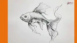 How to draw a Beautiful Fish || Fish drawing with pencil shading