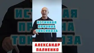 Причина токсикоза у женщин при беременности. Александр Палиенко #токсикоз #роды #дети #беременность