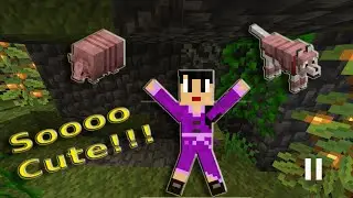 This wolf armor was worth every step! // Minecraft Java 1.21