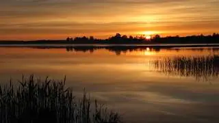 Солнечный ветер - Группа 