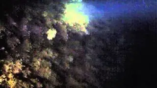 Night Dive at Zurrieq, Malta with Dive Systems Malta