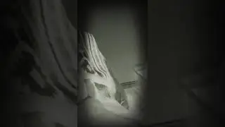 The “KEVIN” video