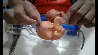 parte 1 africana na garrafa