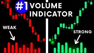 NEW Dynamic Volume Histogram Indicator by Bullish Bob (Full Tutorial)