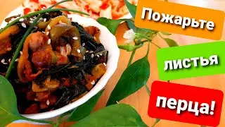 Пожарьте листья ПЕРЦА! Такого вы ещё не ели!
