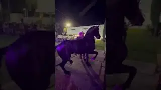 CABALLO BAILADOR