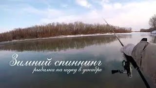 Зимний спиннинг 2020. Рыбалка на щуку в декабре. Джиг.