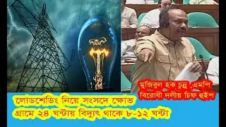 লোডশেডিং নিয়ে সংসদে ক্ষোভ, এত বিদ্যুৎ কই গেল?