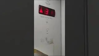 19 июля 2023 г.