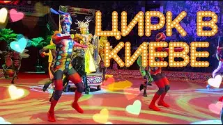 КУДА ПОЙТИ В КИЕВЕ/ ЦИРК АФРИКА БУМ/ ИНТЕРЕСНЫЕ МЕСТА