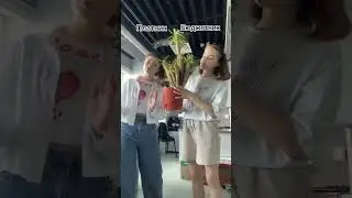 Платно или Бюджет