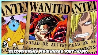 RECOMPENSAS DE LOS MUGIWARAS DESPUÉS DE WANO | RECOMPENSAS POST-WANO