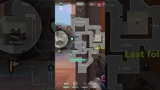 Teammates reaction says it all #valorant #ace #short