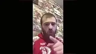 Даже кошка удивилась 😂