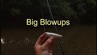 Topwater Creek Smallmouth