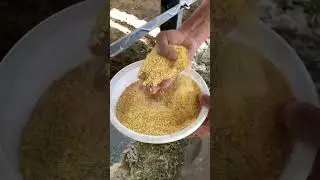Qoʻzi boqish Sirlari✅Zohidjon Xakimovdan📽️🎞️📸