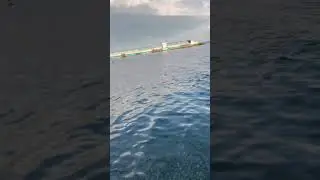 8 июля 2024 г.