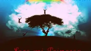 Eres mi Princesa - Lirika prohibida (Geker y Reksoe)