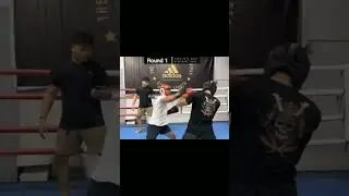 sparing paris pernandes vc andi cobra