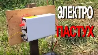Электро-пастух и Чередование пастбищ