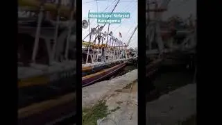 Laut Indah Ikan Tetap Lestari #shortvideo #trevelblogger #treveling #lautindonesia #seafood #fish