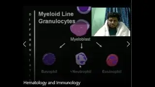 Lecture 7: Immunology & Basic Hematology in Bangla