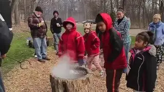 MapleFest 2016