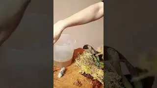 Наращивание корней на блоке 
