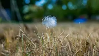Bonne Distance   Journée ordinaire Preview