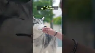 Disabled animals need love too. 