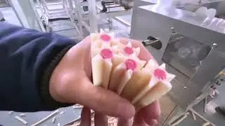 Dog food production and packaging line