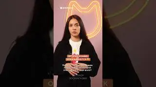 От этих кошек отказываются 😨