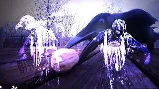 Crow Op - Surreal Short Film