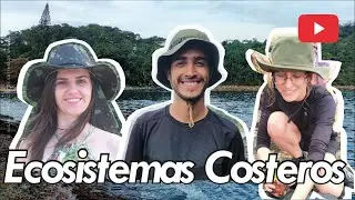 Ecosistemas Costeros - (Santa Catarina, Brasil 2022 - Salida campo UNILA, Documental) - Océano.