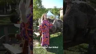 Jamila Zalova -Sari Bülbül  #saribulbul