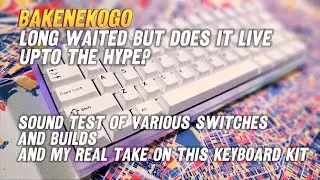 BAKENEKOGO Finding the Best Build and Review. Does it live up to the HYPE? Spoiler there's issues...